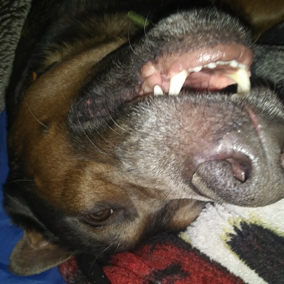 Meet your Posher, Dayton - Picture 1 of 1